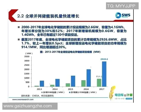 广州羽毛球队实力分析与未来发展展望探讨